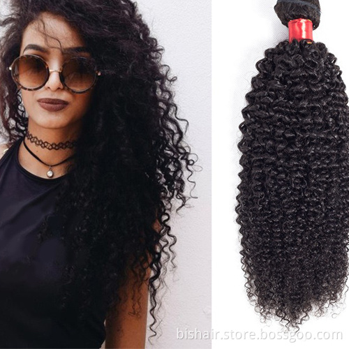 BIS kinky curly wave bundles the length 8-30 inch remy hair bundles raw virgin human free sample Brazilian cuticle aligned hair